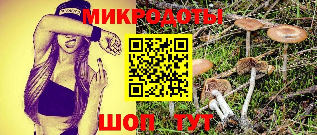 Галлюциногенные грибы Magic Shrooms Верхняя Салда